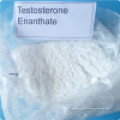 Alta calidad Testosterona Decanoate Proveedor Testosterona Decanoate Raw Steroids